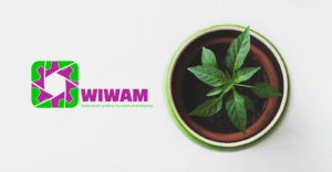 WIWAM phenotyping machine 